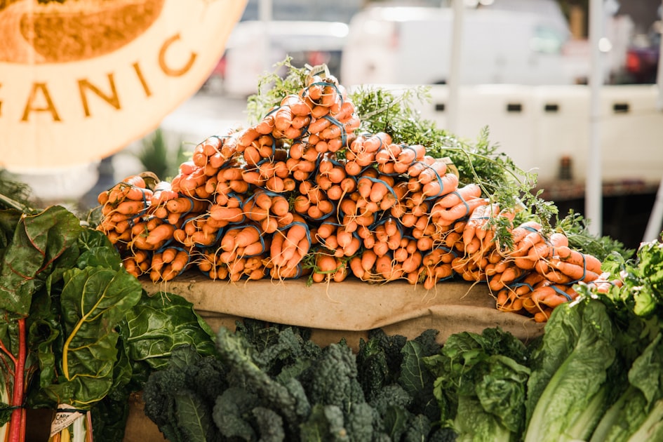 The Future of Organic Farming