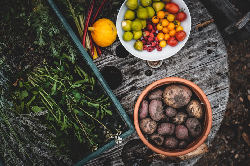 Benefits of Organic Farming